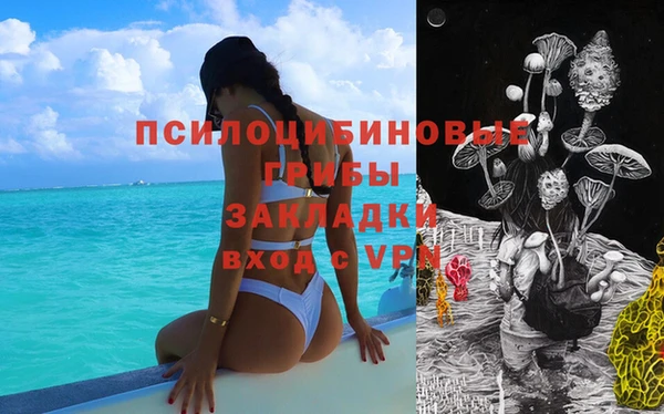 винт Каменск-Шахтинский