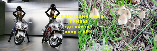 винт Каменск-Шахтинский