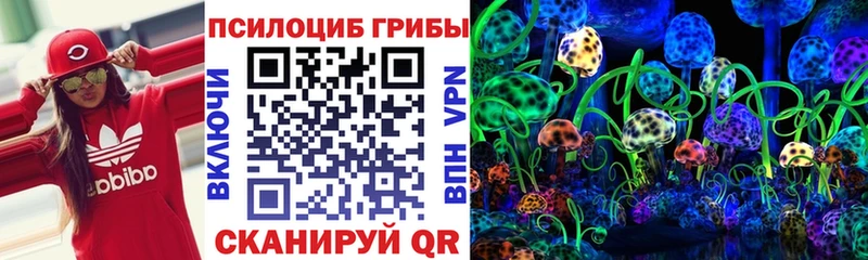 Купить  Красноармейск  Псилоцибиновые грибы мицелий 